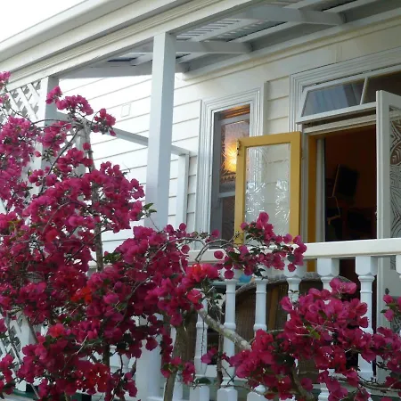 The Great Ponsonby Arthotel Auckland Exterior photo